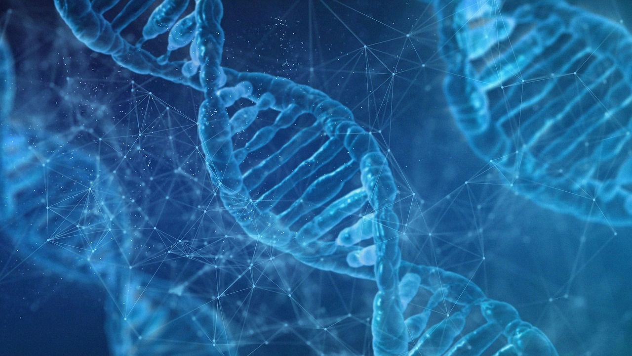 Epigenetik – Dirigentin eines großen Orchesters